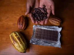 Do You Know Ivory Coast and Ghana produce 60% of the world’s cocoa? Prices Surge as Chocolate Demand Soars