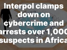 INTERPOL’s Operation Serengeti: Over 1,000 Arrested Across Africa