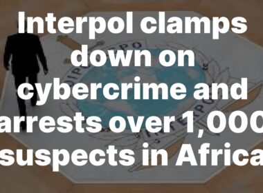 INTERPOL’s Operation Serengeti: Over 1,000 Arrested Across Africa