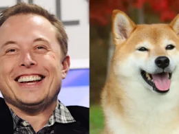 Dogecoin, Elon Musk cryptocurrency, Dogecoin price increase