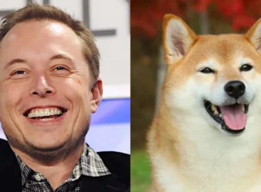 Dogecoin, Elon Musk cryptocurrency, Dogecoin price increase