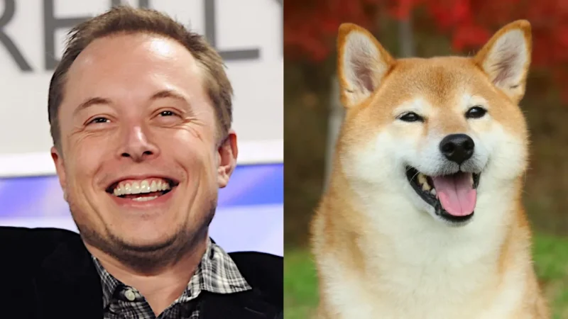 Dogecoin, Elon Musk cryptocurrency, Dogecoin price increase