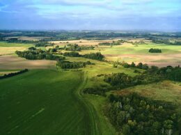Denmark Leads the Way: Returning 15% of Land to Nature to Tackle Climate Change