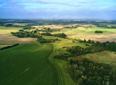 Denmark Leads the Way: Returning 15% of Land to Nature to Tackle Climate Change