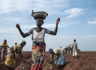Did You Know USAID Empowered Over 5 Million Nigerian Farmers?
