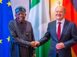 Tinubu meets German President, Steinmeier, in Aso Rock