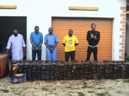 Nigerian Court Jails Jamaican, 3 Others for Drug Trafficking