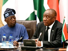South Africa Seeks Partnership To Utilise Nigeria's Lithium
