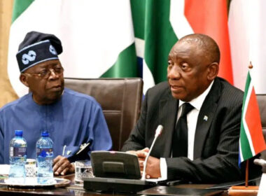 South Africa Seeks Partnership To Utilise Nigeria's Lithium