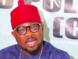PDP NWC Overrules Imo Chapter’s Expulsion of Ugochinyere
