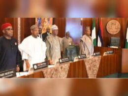 NEC Postpones Decision on State Police to Jan as Govs Back Proposal