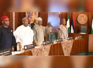 NEC Postpones Decision on State Police to Jan as Govs Back Proposal