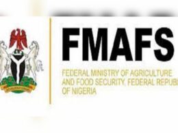 FG Supports 8,000 Wheat Farmers in Gombe