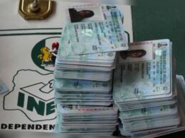 APC, Opposition Welcome Proposal to Phase Out PVCs APC, Opposition Welcome Proposal to Phase Out PVCs