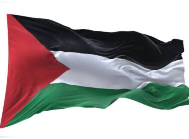 Five Journalists Killed in Gaza in Israeli Strike