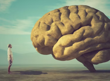 The Science Behind Human Brain's Processing Speed: Why Your Brain Struggles to Keep Up