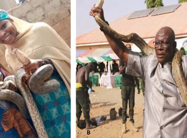 Machina Emirate: The Mysterious City In Yobe Where Humans And Snakes Share Blood Ties