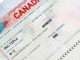 Job Openings in Canada Set to Surge in 2025 – Survey