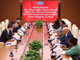 Chinese Company Supports Nigeria's Mega $20 Billion Ogidigben Gas Project