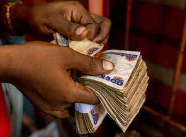 Nigerians Abroad spent N60 billion in December 2024 – NiDCOM  