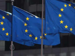 EU Announces €300,000 Grant to Strengthen Eurocham Nigeria