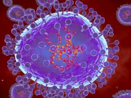 First HMPV Case Detected in Bengaluru, India