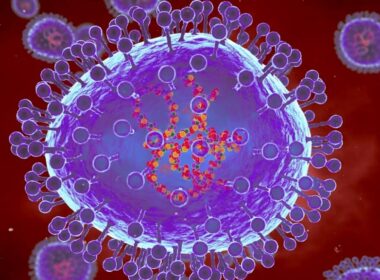 First HMPV Case Detected in Bengaluru, India