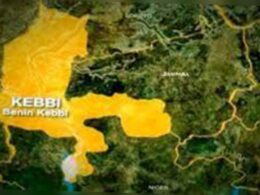Lakurawa Kill Two Policemen, Rustle Over 200 Cows in Kebbi