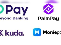 Fintech Transactions Boost FG’s EMTL Revenue to Record N31.2b in December 2024