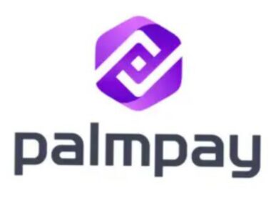 PalmPay Boosts Financial Growth with N4bn Payout in 2024