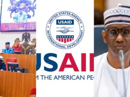 Senate Summons NSA, Security Chiefs Over Alleged USAID Funding Of Boko Haram