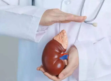 US patients seek Quality kidney transplants in Nigeria - Shettima