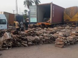 Nigeria Customs Seizes Donkey Skins Worth N4.2 Billion, Smuggled Vehicles, Narcotics