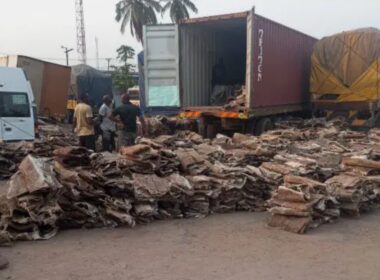 Nigeria Customs Seizes Donkey Skins Worth N4.2 Billion, Smuggled Vehicles, Narcotics