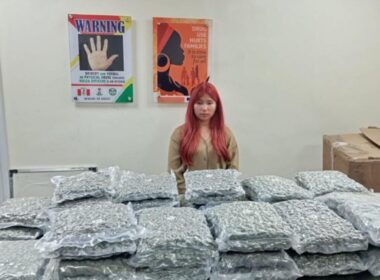 NDLEA Arrests Thai Woman With 46kg of Cannabis at Lagos Airport
