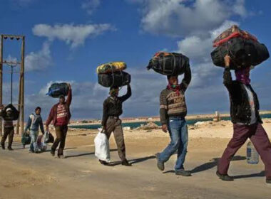 FG begins crackdown on irregular migrants From August 1