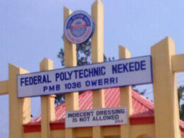 Nekede poly lecturer Suspended for assaulting student in Viral Video