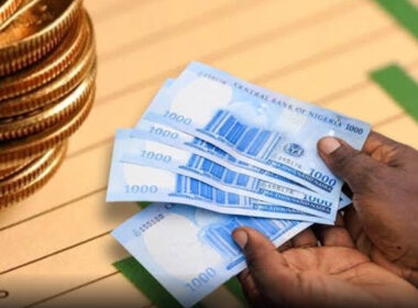 FG Launches N300 Billion Bond Re-issue for March 2025 Auction