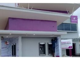 Wema Bank Reports Record N433b Gross Earnings, Profit Surges to N102b in 2024