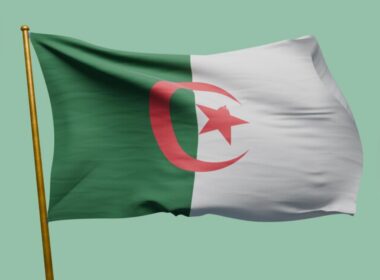 40 Nigerians Deported From Algeria Amidst Crackdown on Illegal Immigrants