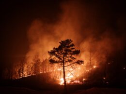 South Korea Wildfires Claim 18 Lives, Cause Unprecedented Devastation