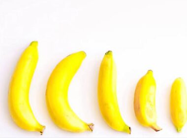 Size Doesn’t Matter: Experts Debunk Myths on Penis Size, Sexual Performance, and Fertility