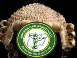 NBA unveils new executives In Yobe State