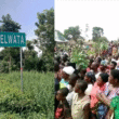 yelwata suspected herdsmen attack on Yelewata in Benue state