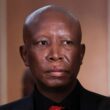 South African Opposition Leader Julius Malema Jailed Over Rally Gun Incident