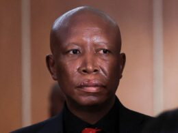 South African Opposition Leader Julius Malema Jailed Over Rally Gun Incident