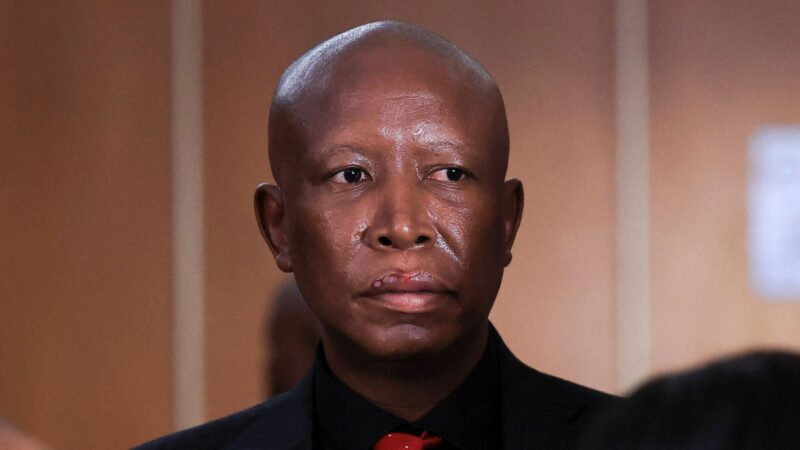 South African Opposition Leader Julius Malema Jailed Over Rally Gun Incident