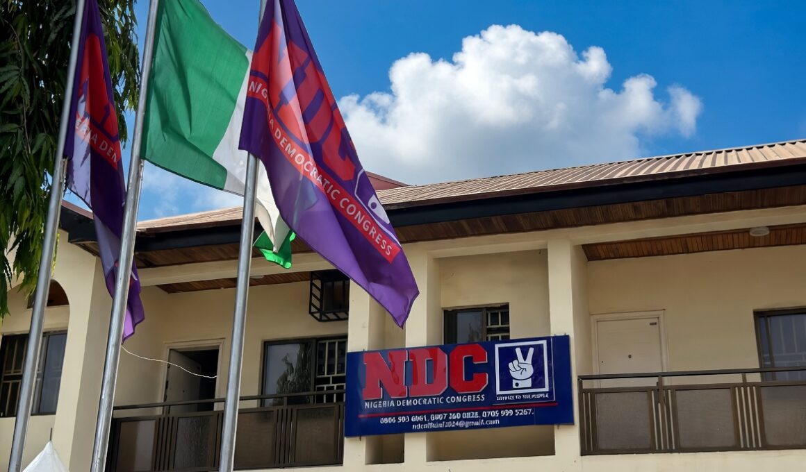 Allegations of Political Pressure Emerge Over NDC Primaries in Imo Federal Constituency